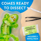 NATIONAL GEOGRAPHIC - CREATIVE LIZARD DISSECTION LAB KIT - NATIONAL GEOGRAPHIC (NG23036)