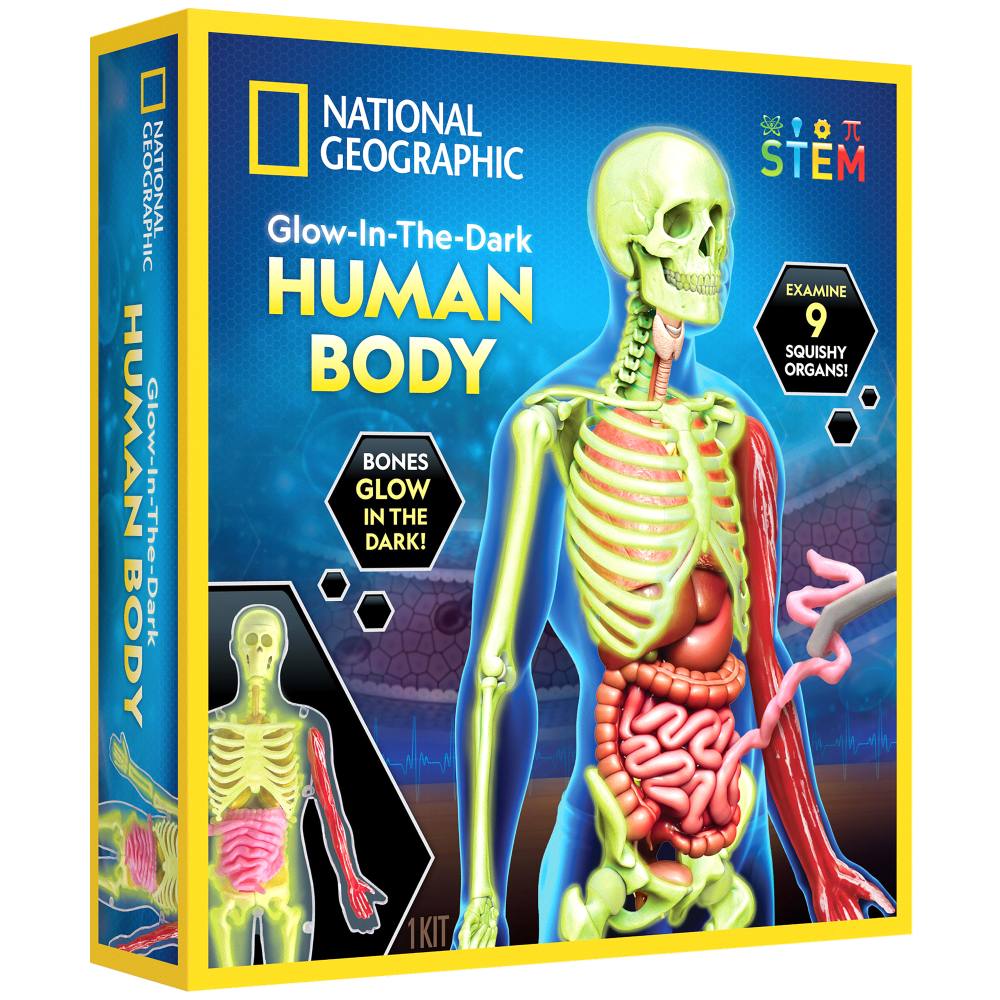 NATIONAL GEOGRAPHIC - HUMAN BODY SCIENCE CREATIVE KIT - NATIONAL GEOGRAPHIC (NG23050)
