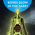 NATIONAL GEOGRAPHIC - HUMAN BODY SCIENCE CREATIVE KIT - NATIONAL GEOGRAPHIC (NG23050)
