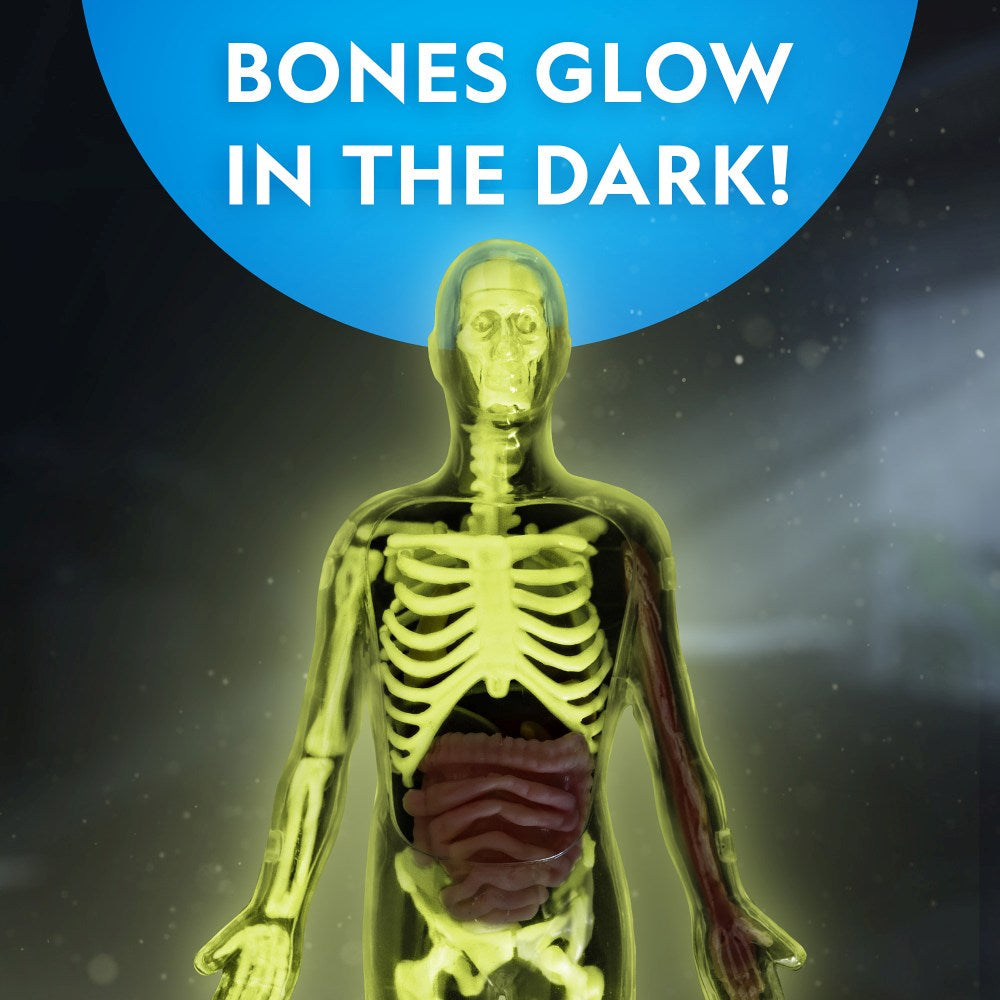 NATIONAL GEOGRAPHIC - HUMAN BODY SCIENCE CREATIVE KIT - NATIONAL GEOGRAPHIC (NG23050)