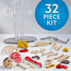 NATIONAL GEOGRAPHIC - HUMAN BODY SCIENCE CREATIVE KIT - NATIONAL GEOGRAPHIC (NG23050)