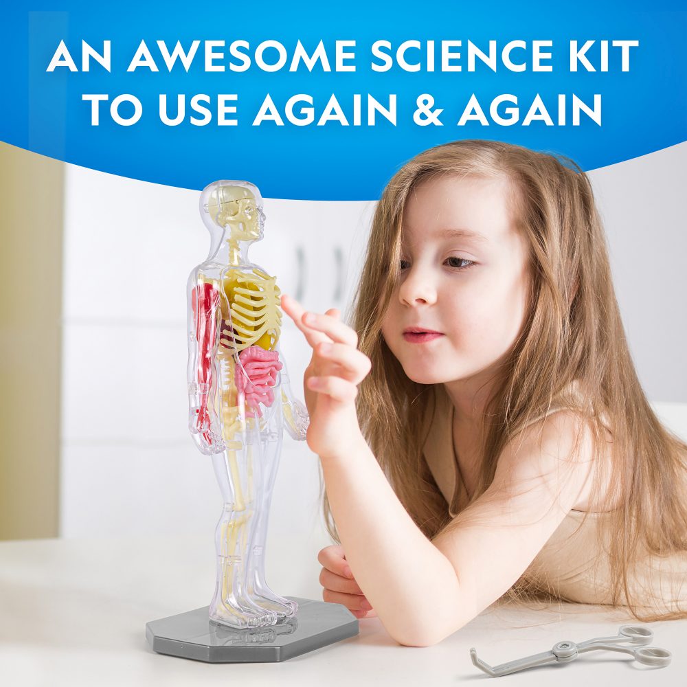 NATIONAL GEOGRAPHIC - HUMAN BODY SCIENCE CREATIVE KIT - NATIONAL GEOGRAPHIC (NG23050)