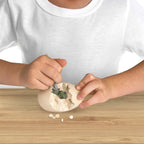 SET EDUCATIV DESCOPERIREA OUALOR PREISTORICE IN EXPEDITIA DINOZAURILOR - NATIONAL GEOGRAPHIC (NG29677)