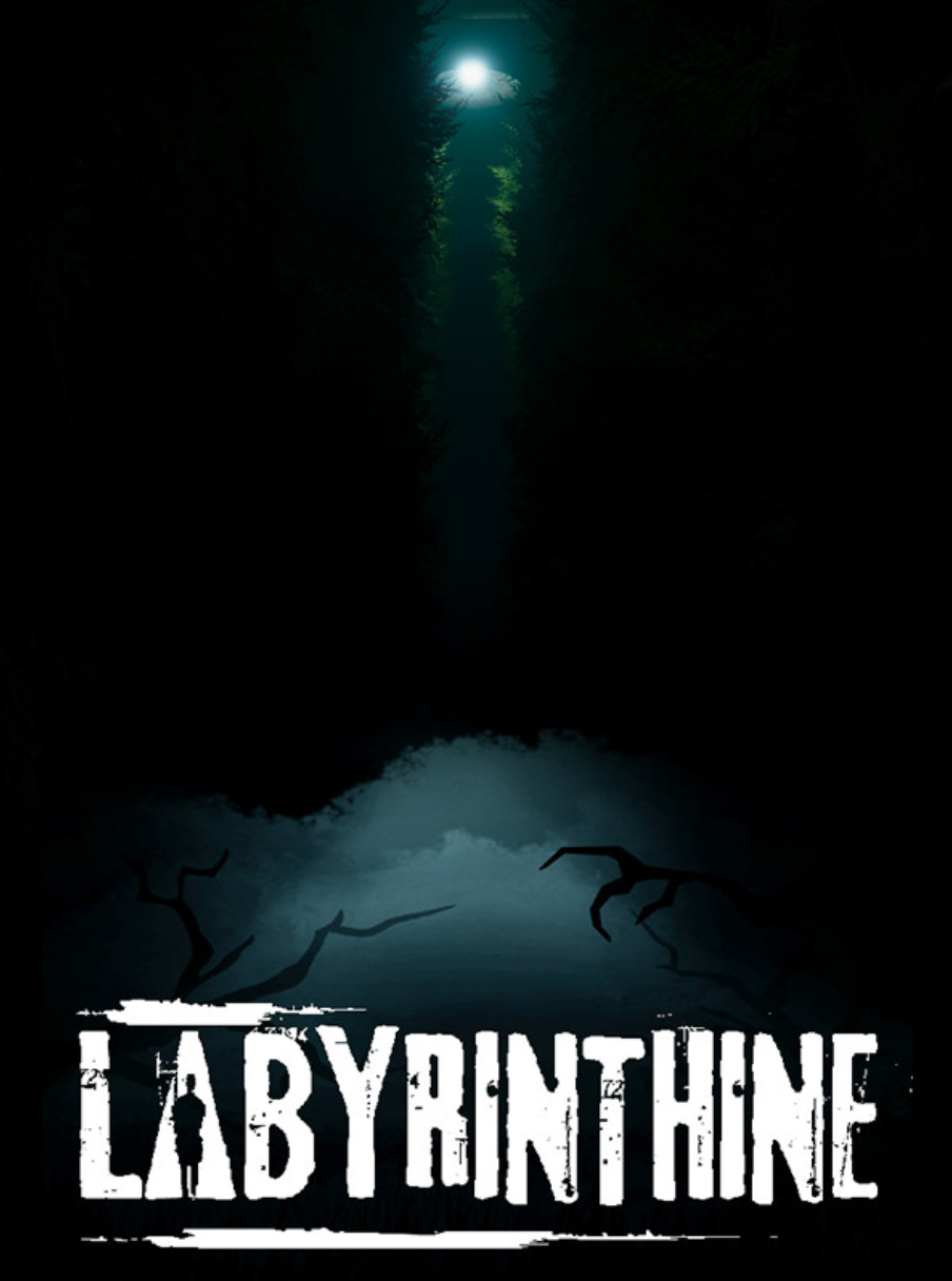LABYRINTHINE - PC - STEAM - MULTILANGUAGE - WORLDWIDE - Libelula Vesela - Jocuri video