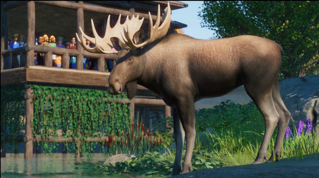 PLANET ZOO: NORTH AMERICA ANIMAL PACK - PC - STEAM - MULTILANGUAGE - WORLDWIDE