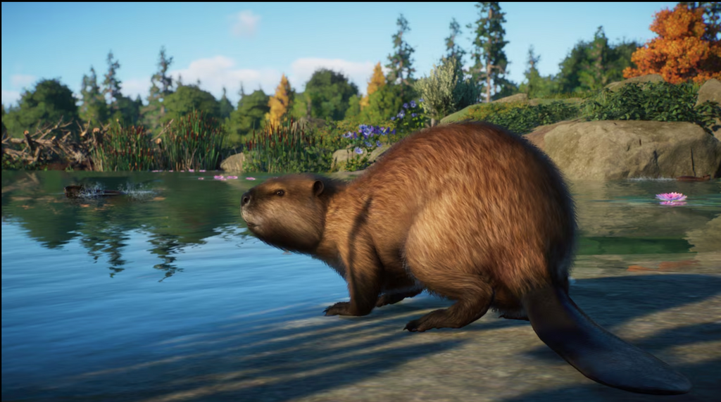 PLANET ZOO: NORTH AMERICA ANIMAL PACK - PC - STEAM - MULTILANGUAGE - WORLDWIDE