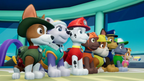 PAW PATROL: ON A ROLL - NINTENDO SWITCH - MULTILANGUAGE - EU