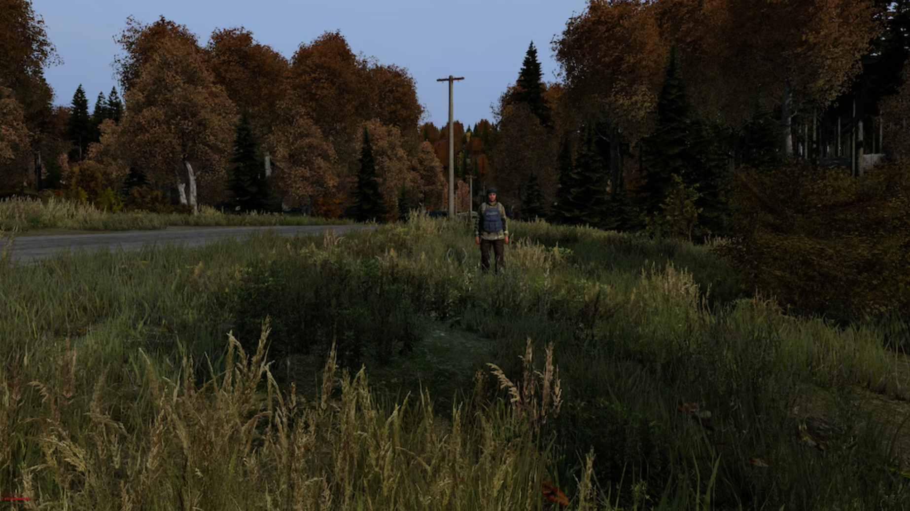 DAYZ: DELUXE EDITION - PC - STEAM - MULTILANGUAGE - WORLDWIDE