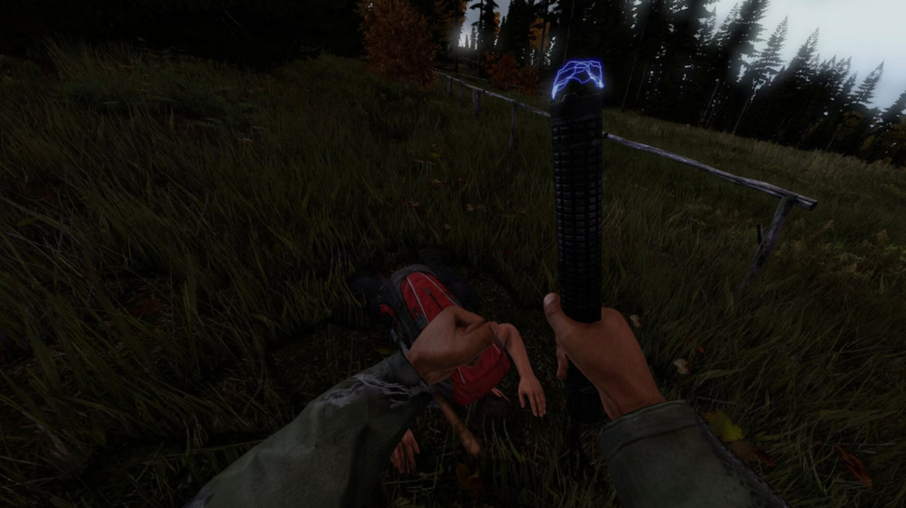 DAYZ: DELUXE EDITION - PC - STEAM - MULTILANGUAGE - WORLDWIDE