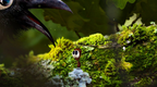 ANTVENTOR - PC - STEAM - MULTILANGUAGE - WORLDWIDE