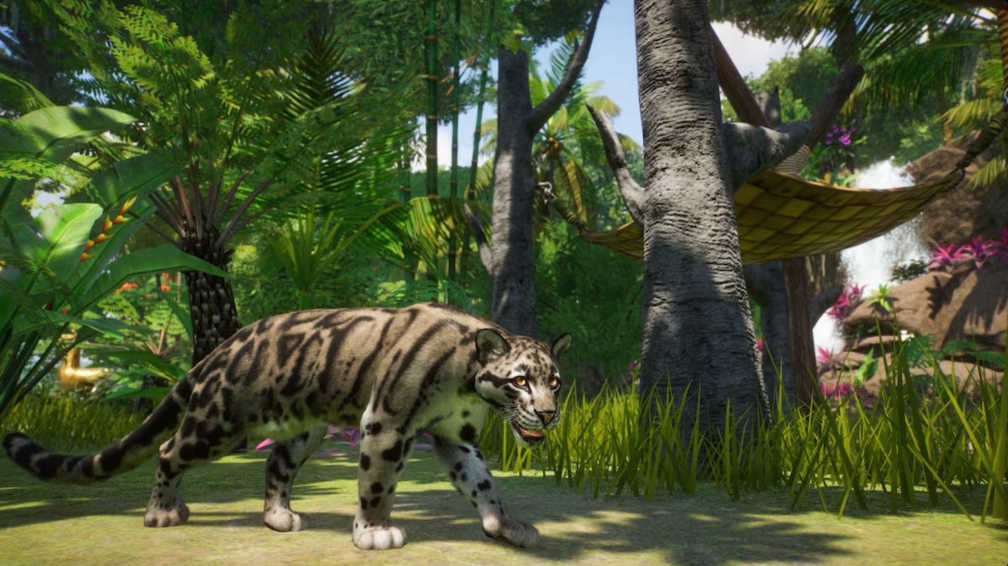 PLANET ZOO: ASIA ANIMAL PACK (DLC) - PC - STEAM - MULTILANGUAGE - WORLDWIDE
