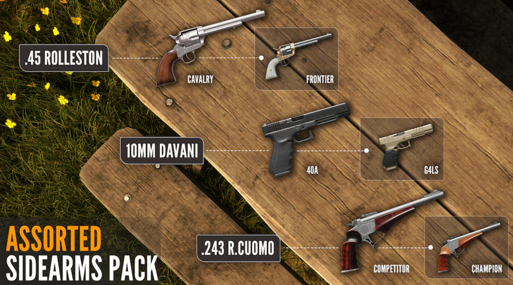 THEHUNTER: CALL OF THE WILD - ASSORTED SIDEARMS PACK (DLC) - PC - STEAM - MULTILANGUAGE - WORLDWIDE