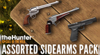 THEHUNTER: CALL OF THE WILD - ASSORTED SIDEARMS PACK (DLC) - PC - STEAM - MULTILANGUAGE - WORLDWIDE