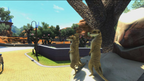 ZOO TYCOON: ULTIMATE ANIMAL COLLECTION - PC - STEAM - MULTILANGUAGE - EU