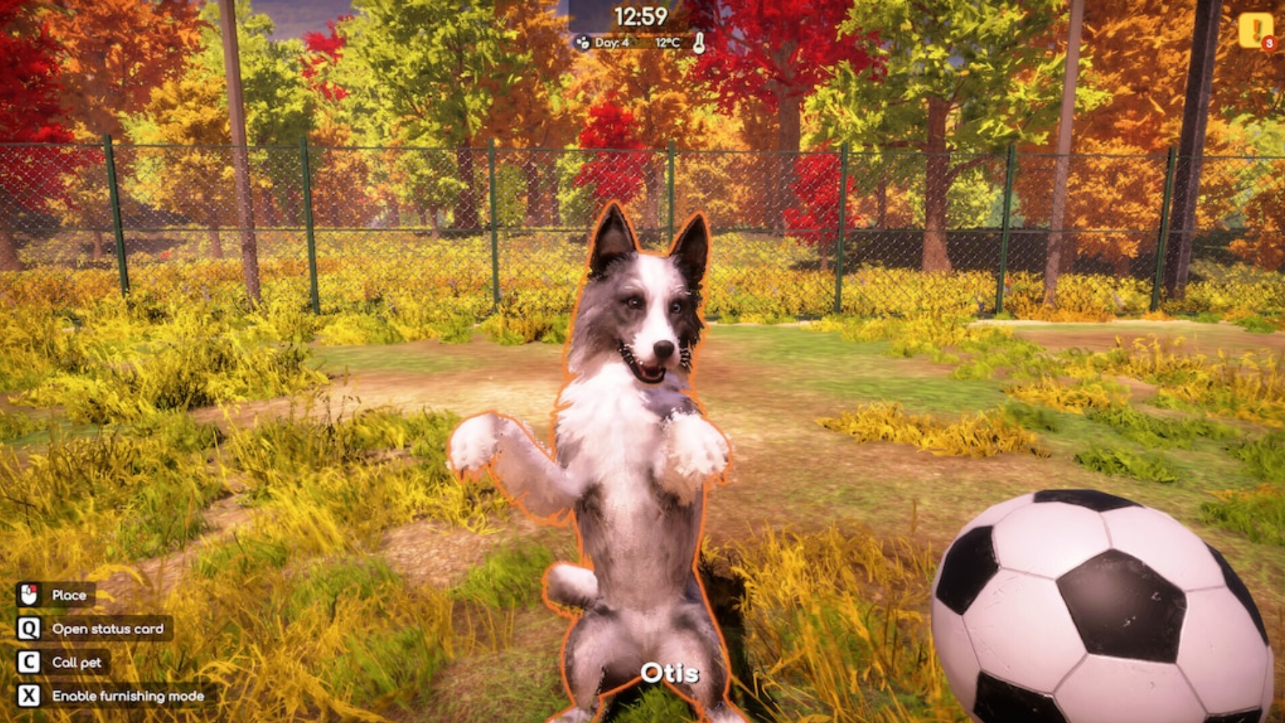 ANIMAL SHELTER 2 - PC - STEAM - MULTILANGUAGE - WORLDWIDE