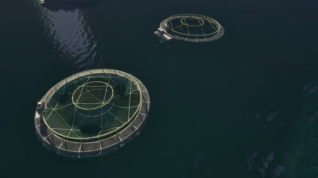 SHIPS AT SEA - PC - STEAM - MULTILANGUAGE - WORLDWIDE