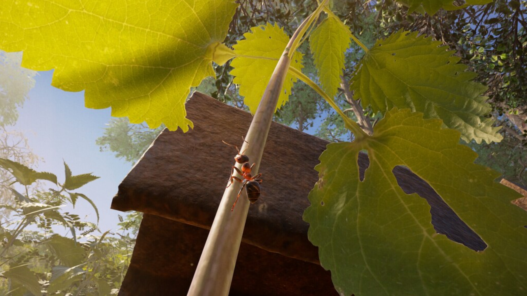 EMPIRE OF THE ANTS - PC - STEAM - MULTILANGUAGE - WORLDWIDE