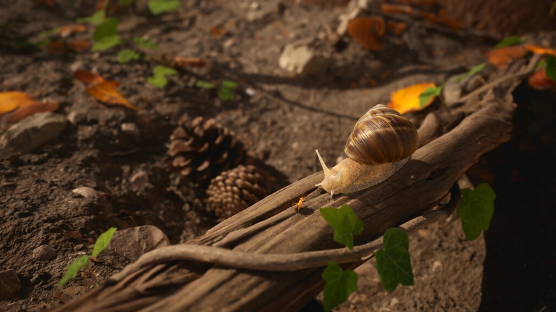 EMPIRE OF THE ANTS - PC - STEAM - MULTILANGUAGE - WORLDWIDE