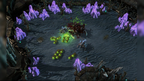 STARCRAFT 2: HEART OF THE SWARM - PC - BATTLE.NET - MULTILANGUAGE - EU