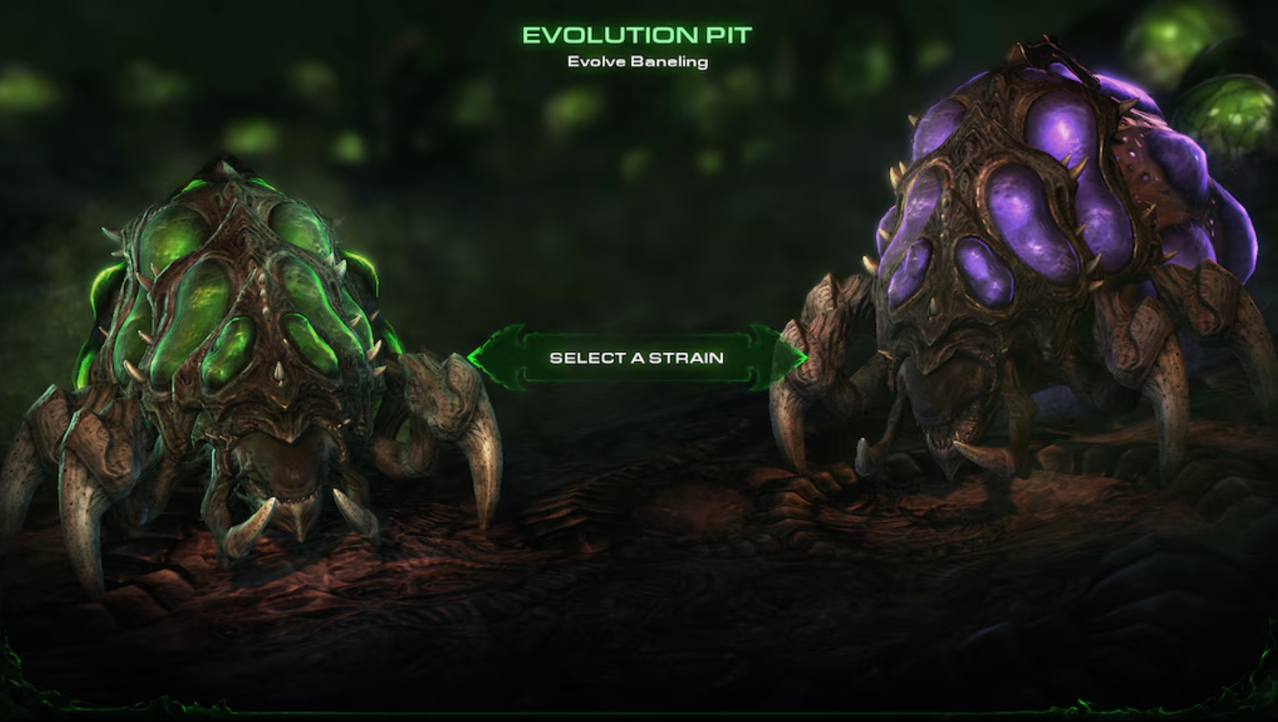 STARCRAFT 2: HEART OF THE SWARM - PC - BATTLE.NET - MULTILANGUAGE - EU