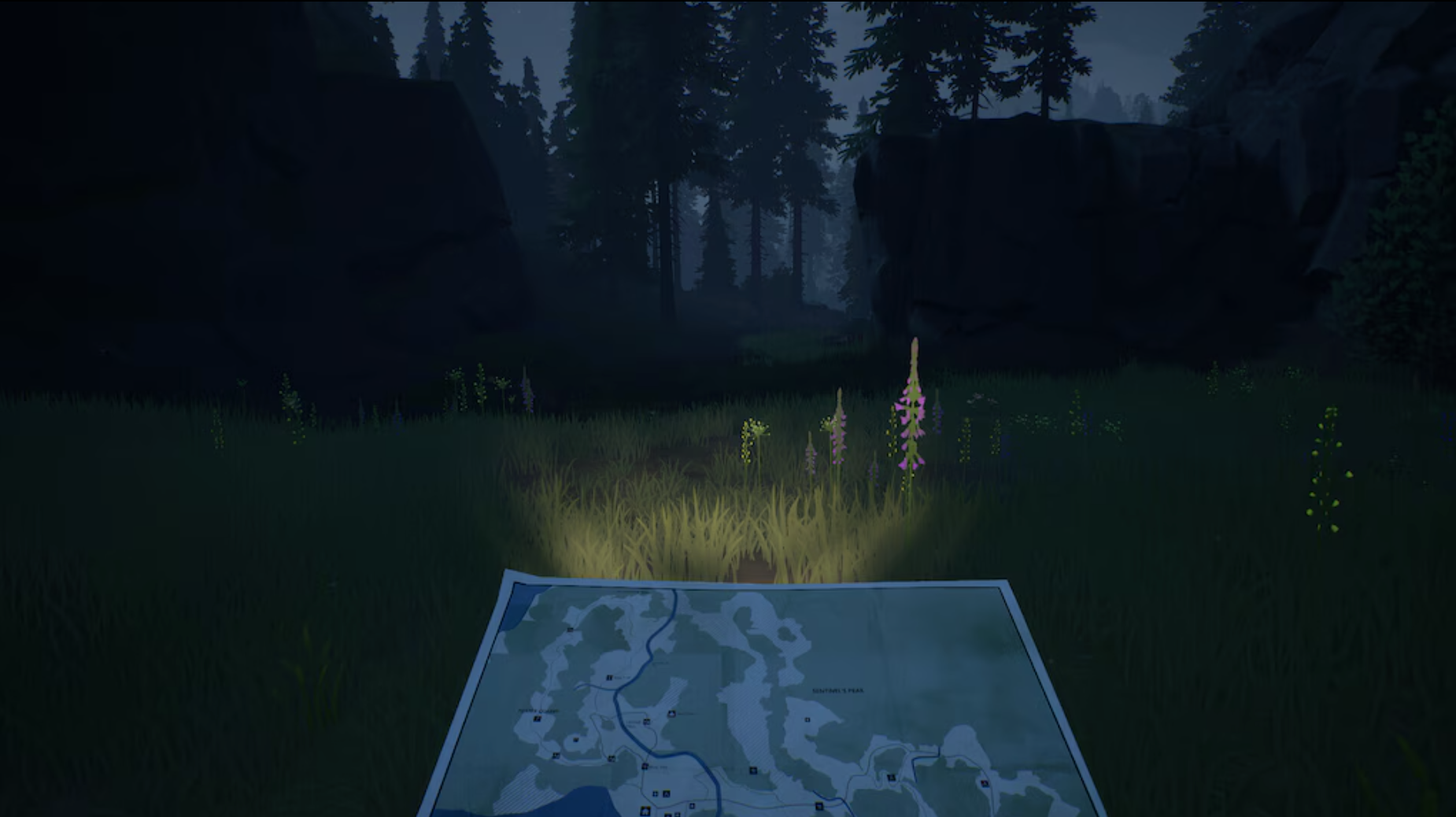 RADIOLIGHT - PC - STEAM - MULTILANGUAGE - WORLDWIDE