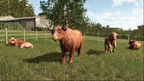 FARMING SIMULATOR 25 - HIGHLANDS FISHING (DLC) - PC - STEAM - MULTILANGUAGE - WORLDWIDE