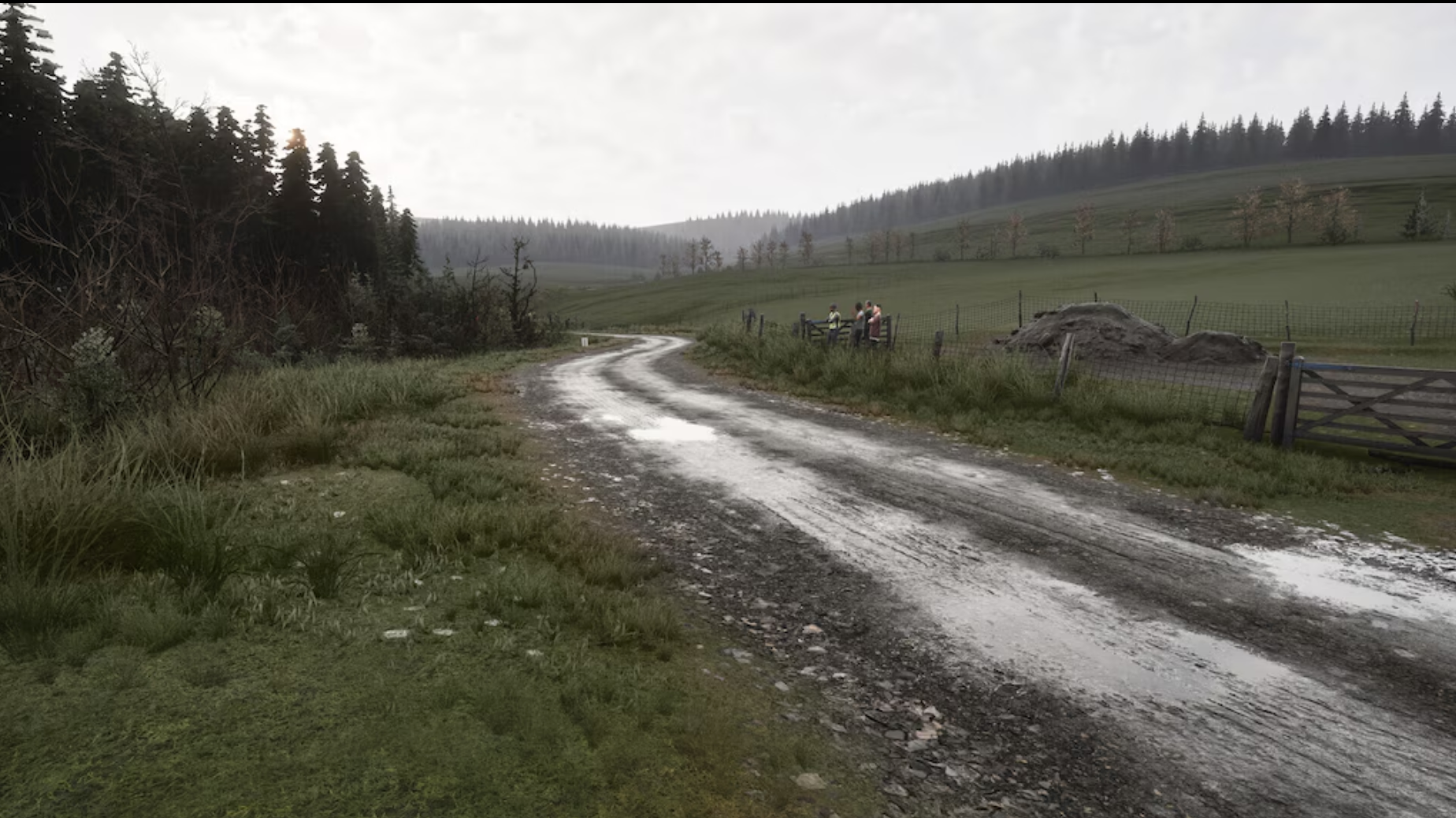 ASSETTO CORSA RALLY - PC - STEAM - MULTILANGUAGE - WORLDWIDE