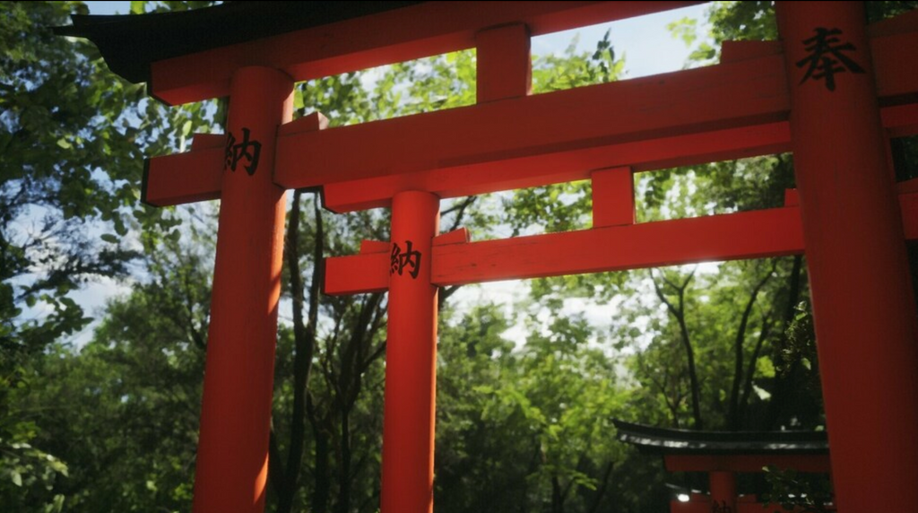 LUSHFOIL PHOTOGRAPHY SIM - PC - STEAM - MULTILANGUAGE - WORLDWIDE