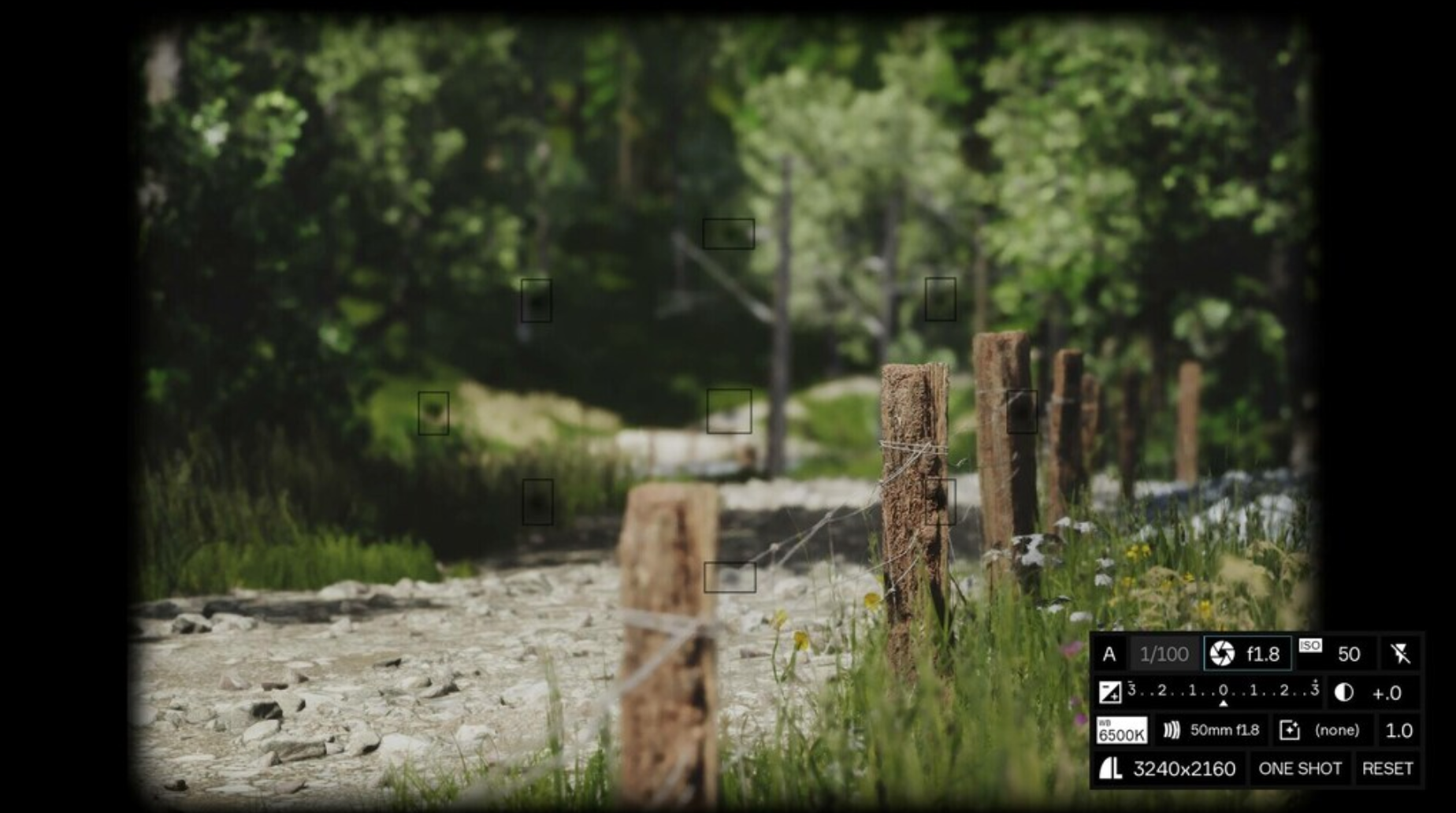 LUSHFOIL PHOTOGRAPHY SIM - PC - STEAM - MULTILANGUAGE - WORLDWIDE