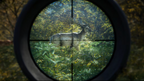 THEHUNTER: CALL OF THE WILD - STEAM - MULTILANGUAGE - WORLDWIDE - PC