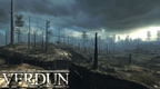 VERDUN - STEAM - PC - WORLDWIDE