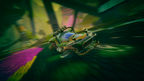 TRAILBLAZERS - NINTENDO SWITCH - MULTILANGUAGE - EU