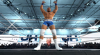 WWE 2K26 - PC - STEAM - MULTILANGUAGE - WORLDWIDE