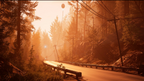 PACIFIC DRIVE (RITUAL EDITION) - PC - STEAM - MULTILANGUAGE - WORLDWIDE
