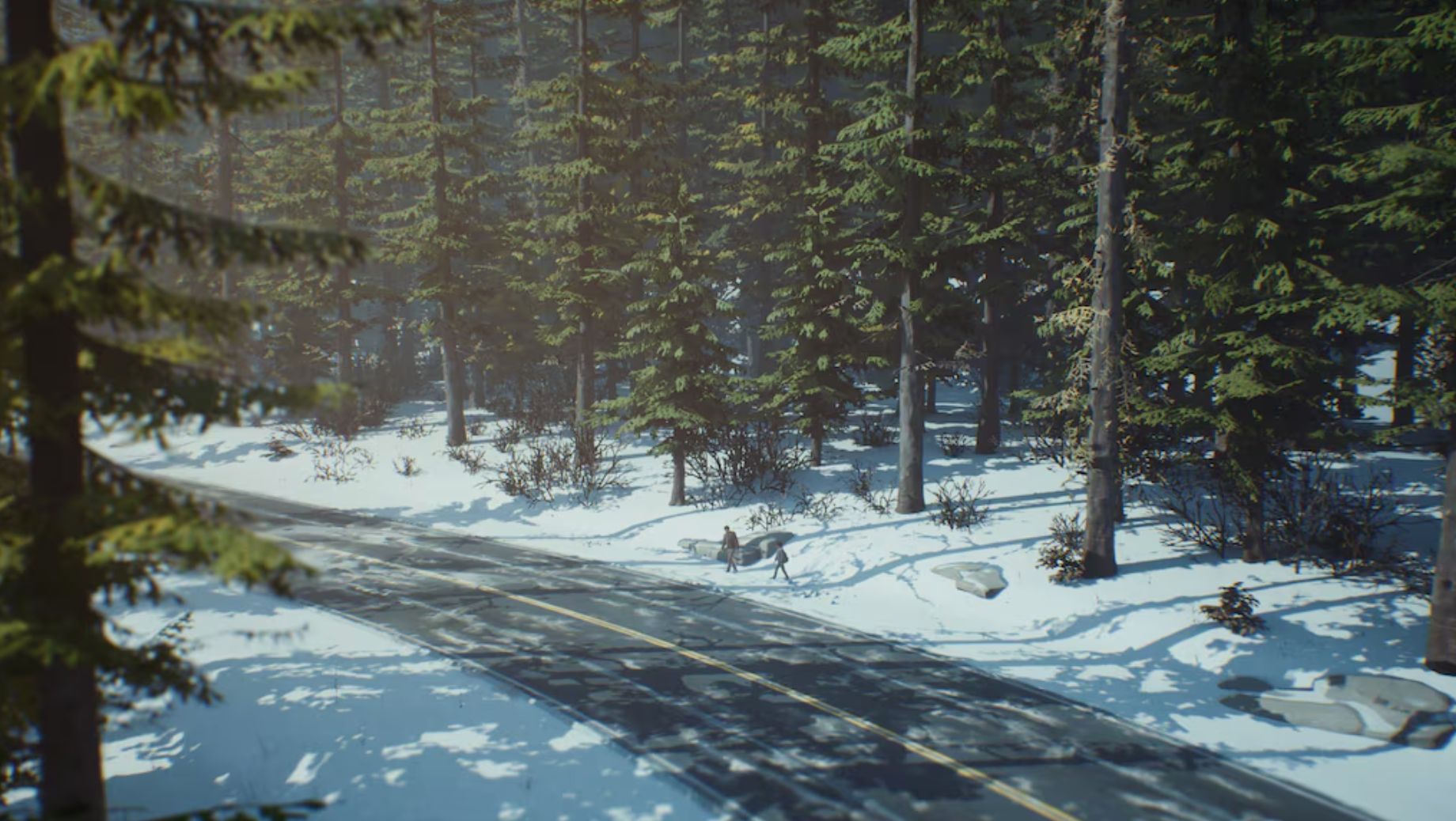 LIFE IS STRANGE 2 - EPISODE 2 (DLC) - PC - STEAM - MULTILANGUAGE - WORLDWIDE