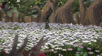 BYE SWEET CAROLE - PC - STEAM - MULTILANGUAGE - WORLDWIDE