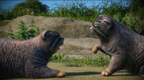 ZOOKEEPER - PC - STEAM - MULTILANGUAGE - WORLDWIDE