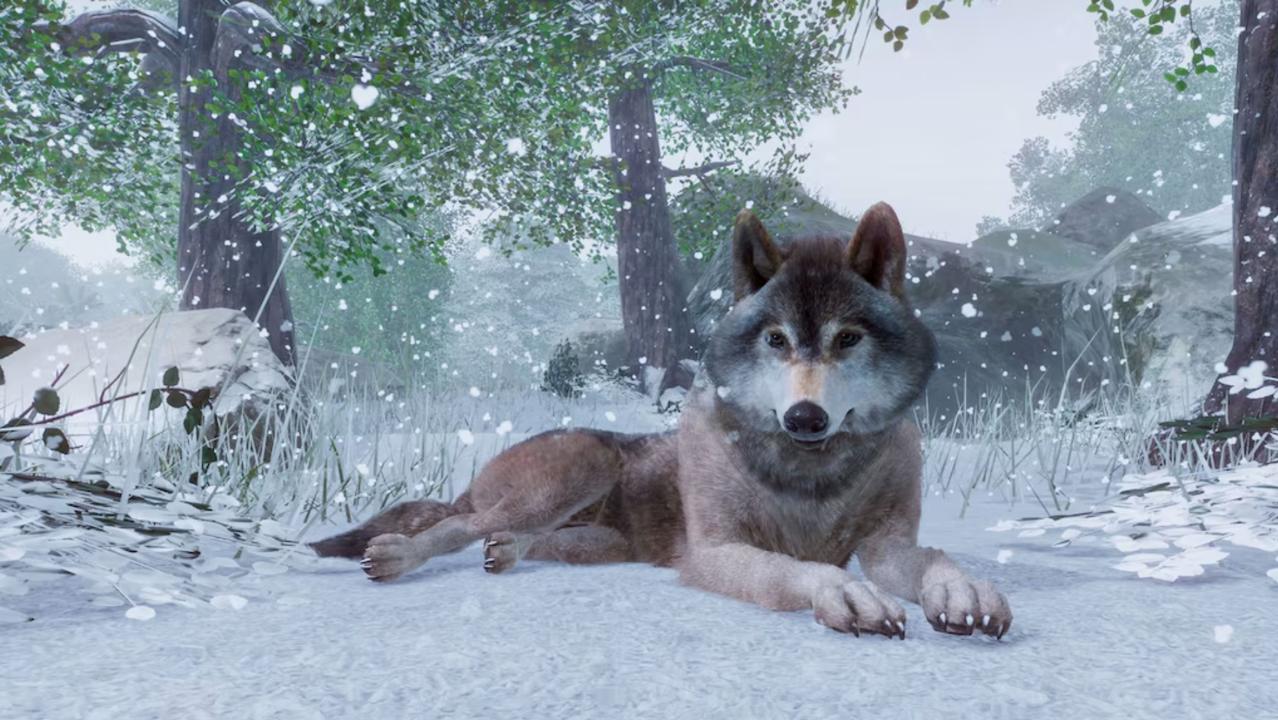 PLANET ZOO - STEAM - MULTILANGUAGE - WORLDWIDE - PC