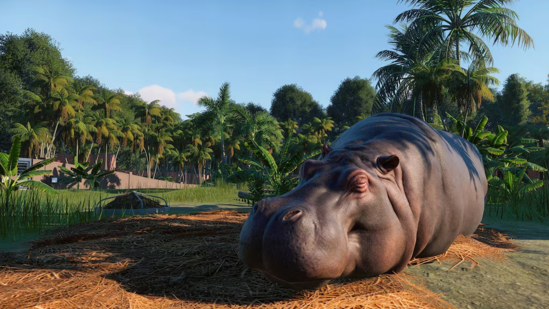 PLANET ZOO - STEAM - MULTILANGUAGE - WORLDWIDE - PC