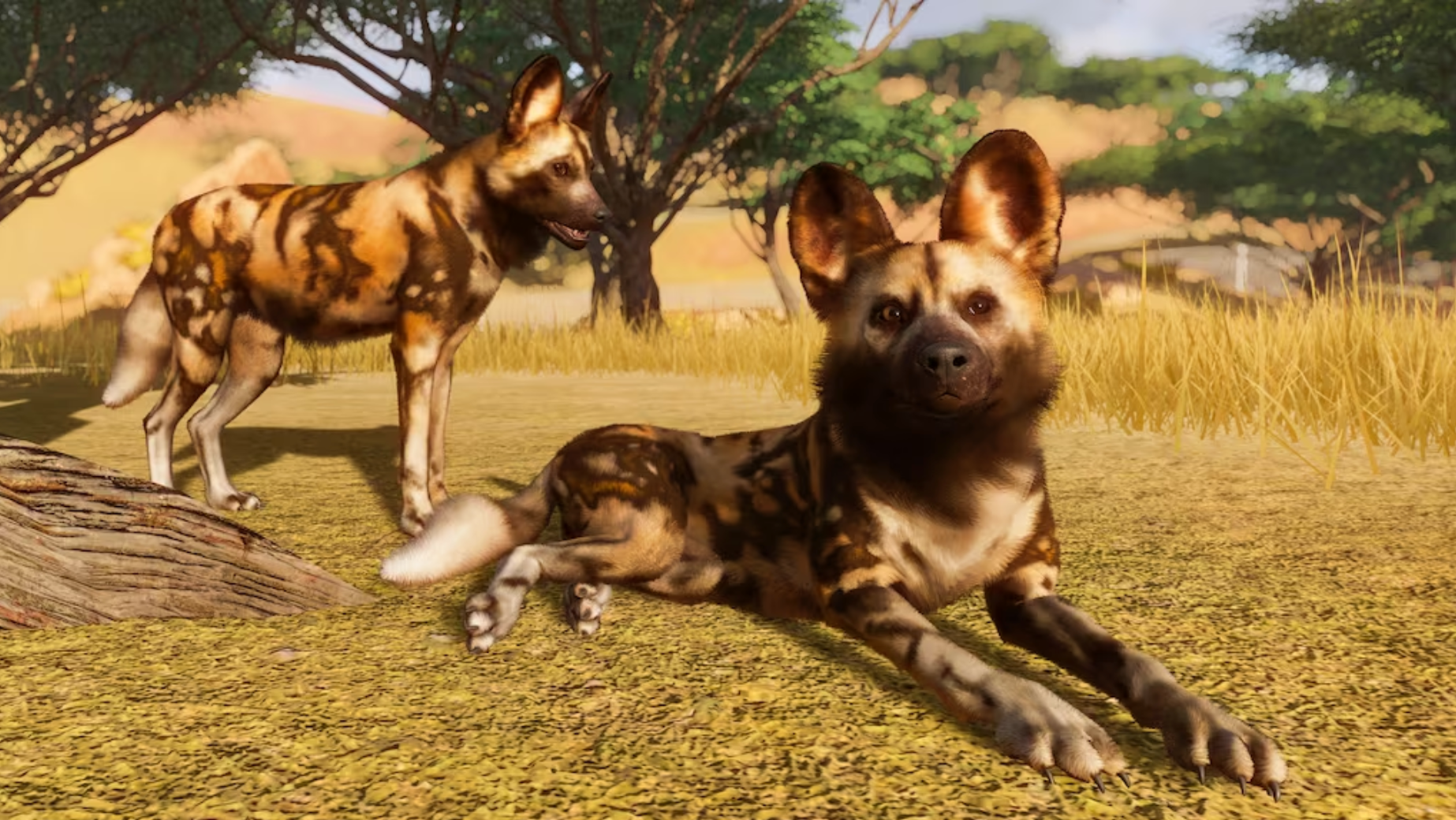 PLANET ZOO - STEAM - MULTILANGUAGE - WORLDWIDE - PC
