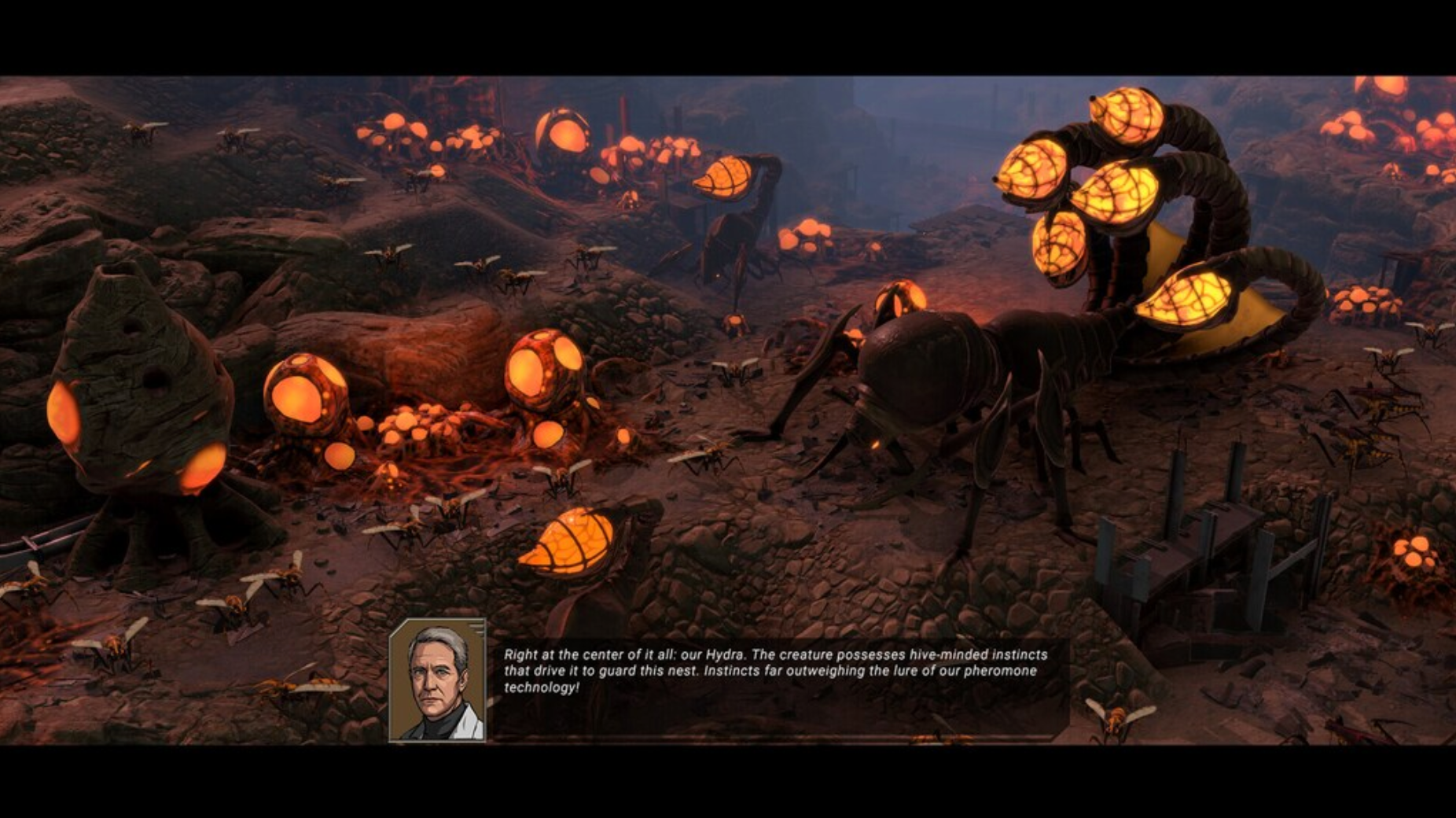 STARSHIP TROOPERS: TERRAN COMMAND - THE ERADICATORS (DLC) - PC - STEAM - MULTILANGUAGE - WORLDWIDE