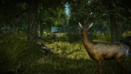 THE WITCHER 2: ASSASSINS OF KINGS ENHANCED EDITION - PC - GOG.COM - MULTILANGUAGE - EU