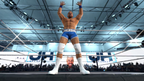 WWE 2K26 - XBOX SERIES X|S - XBOX LIVE - MULTILANGUAGE - EU - Libelula Vesela - Jocuri video