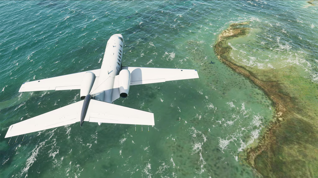 MICROSOFT FLIGHT SIMULATOR (WINDOWS 10) - PC - MICROSOFT STORE - MULTILANGUAGE - EU