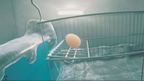 EGGING ON - PC - STEAM - MULTILANGUAGE - WORLDWIDE