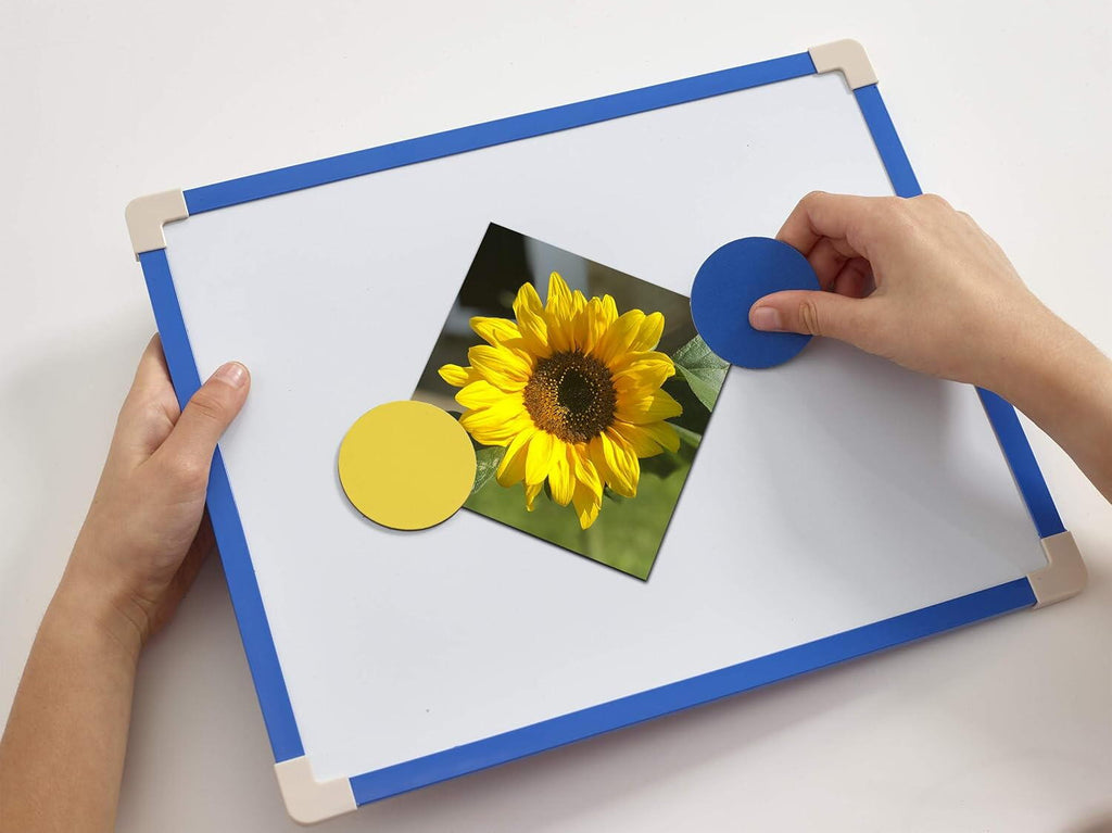 SET TABLA MAGNETICA PLUS (30 X 24.5 CM) - BRAINSTORM (B1503)
