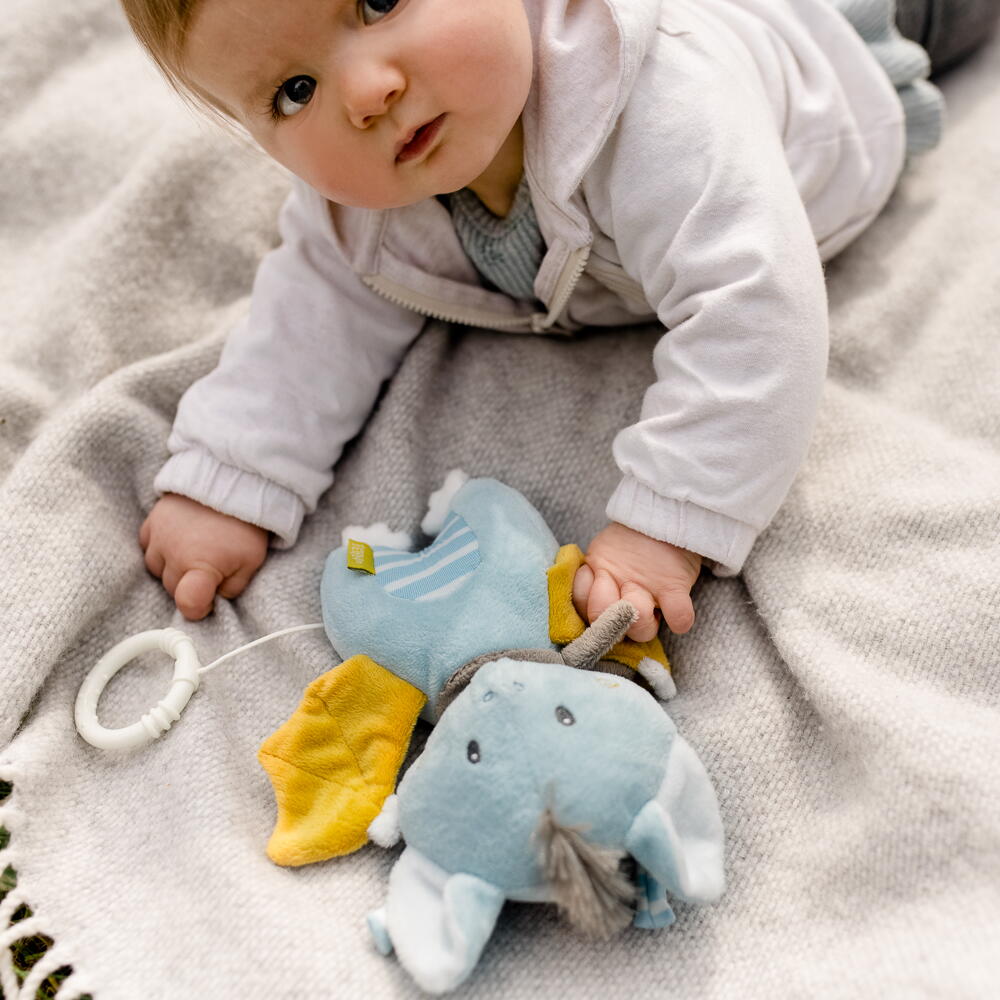 JUCARIE MUZICALA - LILIAC HAIOS - FEHN (065022)