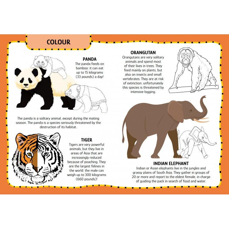 PRIMUL SET DE ARTA & LUCRU MANUAL - ANIMALUTE - SASSI (978-88-303-1060-5)