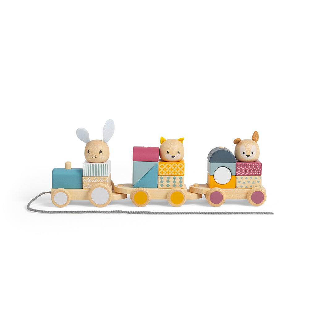 TRENULET CU FORME - ANIMALUTE VESELE - BIGJIGS TOYS (32012)