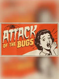 ATTACK OF THE BUGS - PC - STEAM - EN - WORLDWIDE
